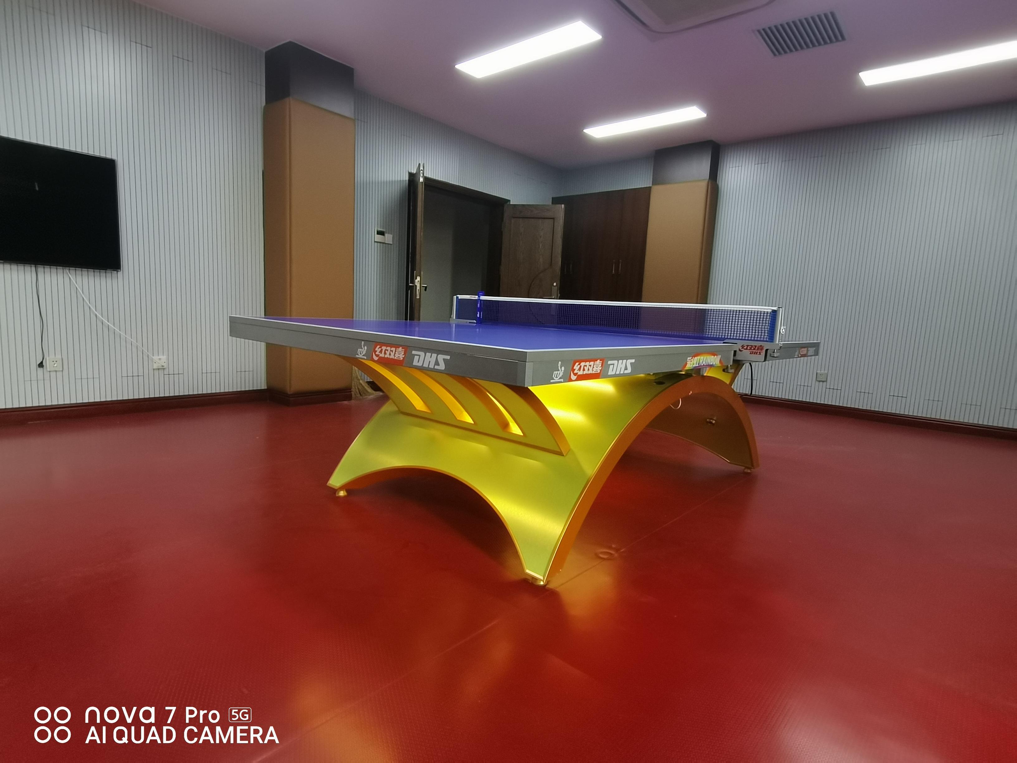 體育器材，紅雙喜乒乓球臺